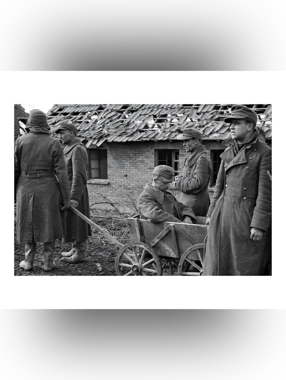 1945 WWII German POWs Captured Korrenzig 4x6 Lustre Print